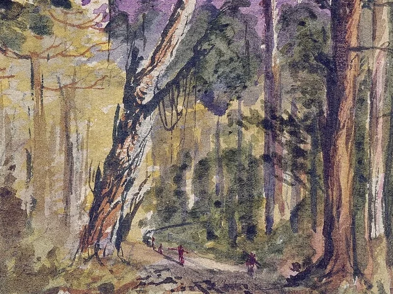 1833-William Mathew Hodgkins - Sentiero in legno. Robinson's Bay, Akaroa